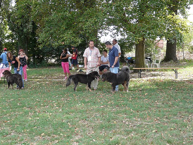 img 083.jpg